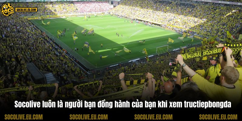 Socolive luôn là người bạn đồng hành của bạn khi xem tructiepbongda